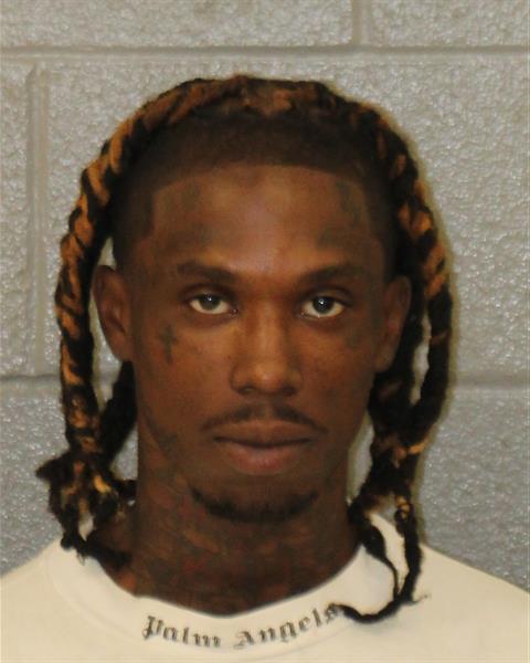 Christopher Brown booking photo