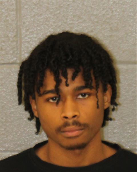 Dominic Springs booking photo