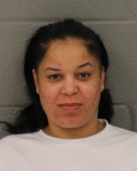 Rachel Pressley booking photo