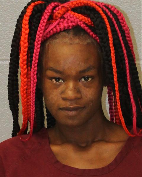 Aleah Mcknight booking photo