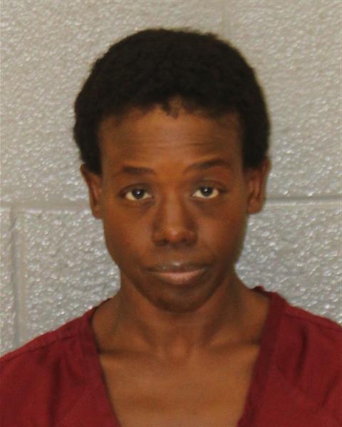Rebecca Nelson booking photo