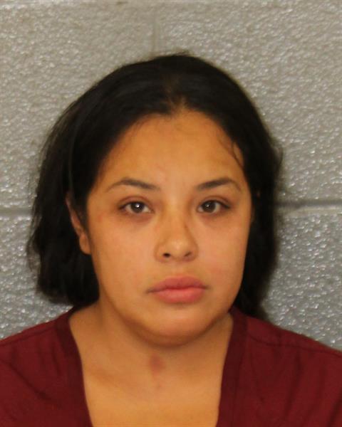 Tamar Constanza booking photo