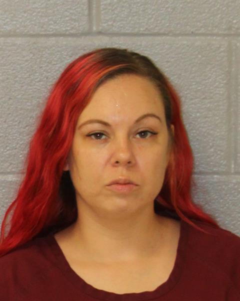 Ashley Sowers booking photo