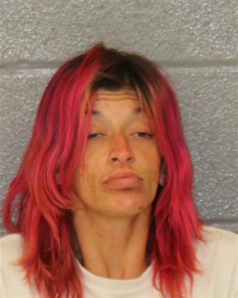 Abaigail Fowler booking photo