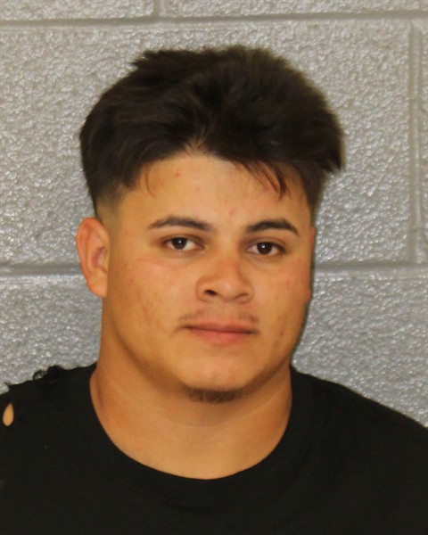 Frelin Rosales-lopez booking photo