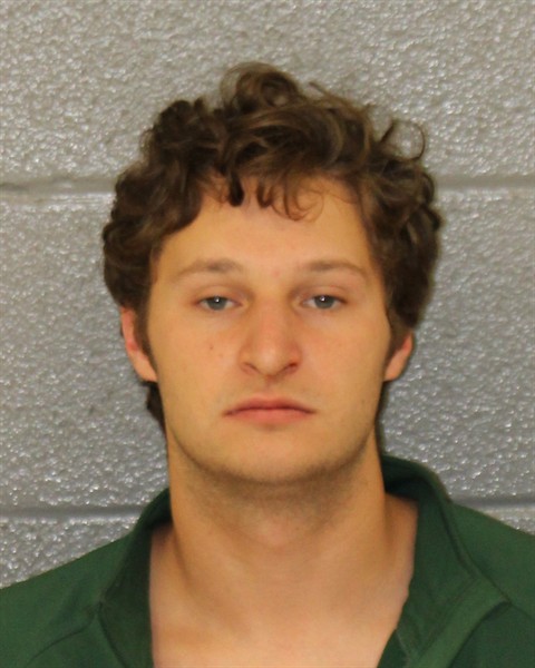 Nicholas Stedeford-aaron booking photo