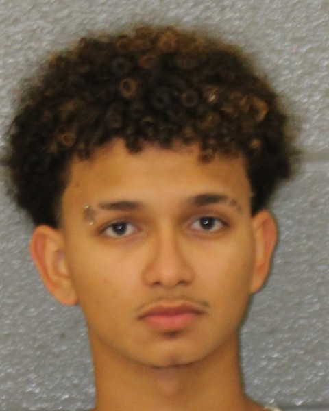 Henrycky Ramos booking photo
