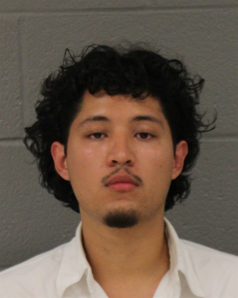 Alejandro Paredes booking photo