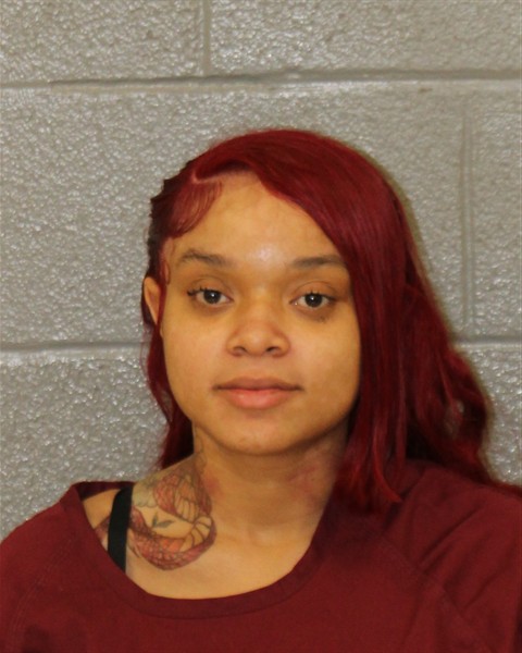 Mariana Jones booking photo