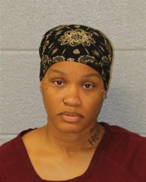 Leslie Morgan booking photo