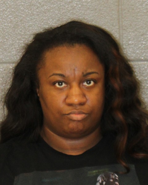 Karina Davis booking photo