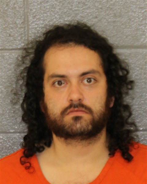 Nicholas Goldstein booking photo