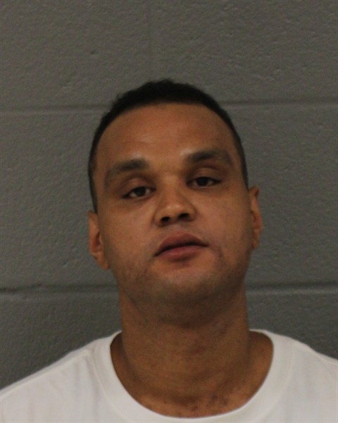 Michael Hamilton booking photo