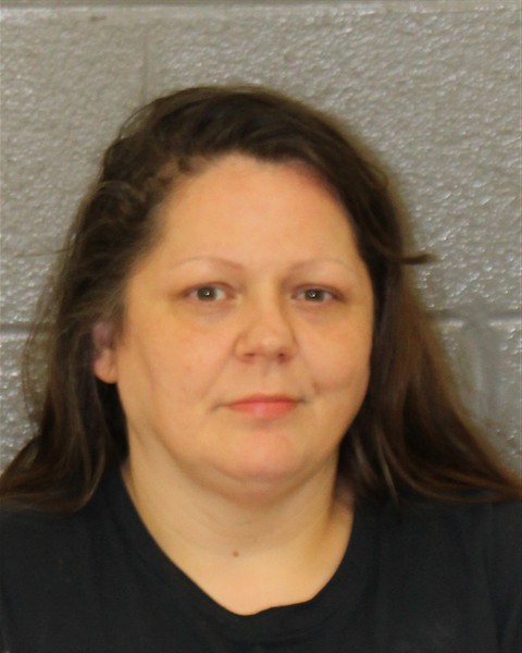 Emily Hernandez booking photo