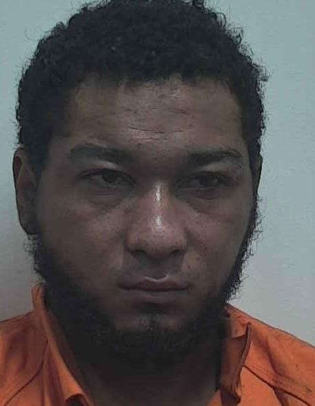 Booking photo of Yerlin Aleman-castello