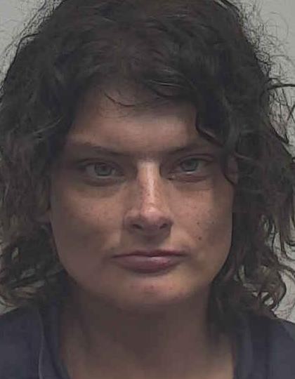Booking photo of Danielle Brown