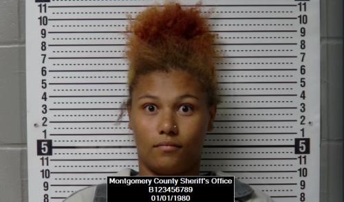 Booking photo of Ty’tianna Jene Robinson