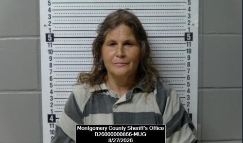 Booking photo of Denise Lynne Readel