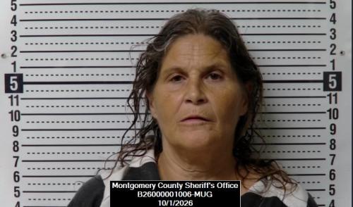 Booking photo of Denise Lynne Readel