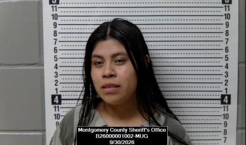 Booking photo of Ana Francisco-jose