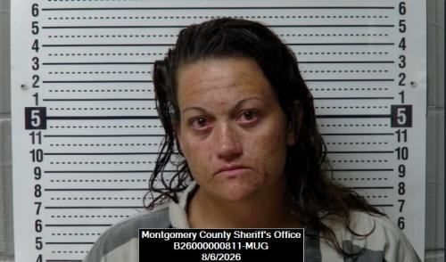 Booking photo of Samantha Jo Dyer