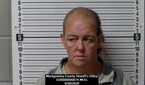 Booking photo of Candy Ann Ryan