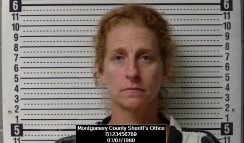 Booking photo of Holly Ann Welker