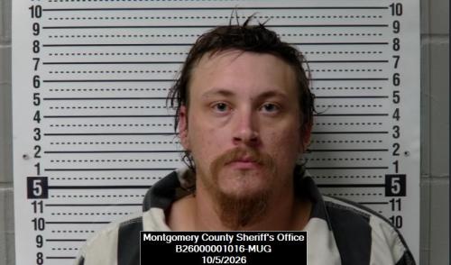 Booking photo of Dusty Jean Robinson