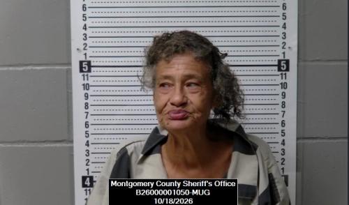 Booking photo of Joan Rene Robertson