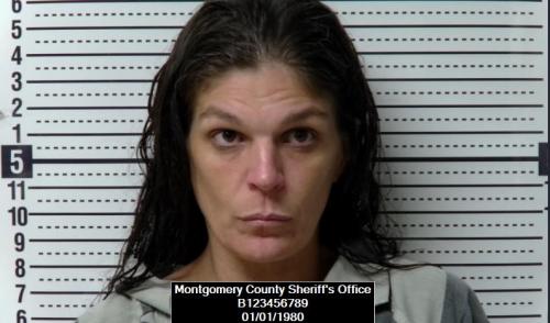 Booking photo of April Dawn Graham