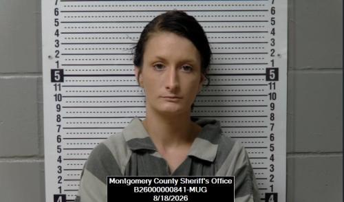 Booking photo of Destany Michelle Freeman