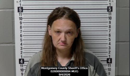 Booking photo of Sara Florence Sullivan