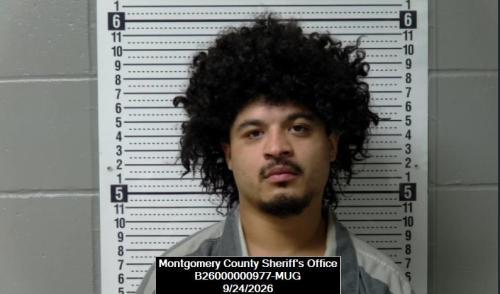 Booking photo of Luis Alberto Jr. Portillo