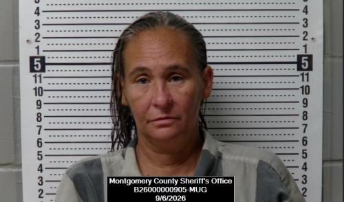 Booking photo of Amber Camille Scimeca