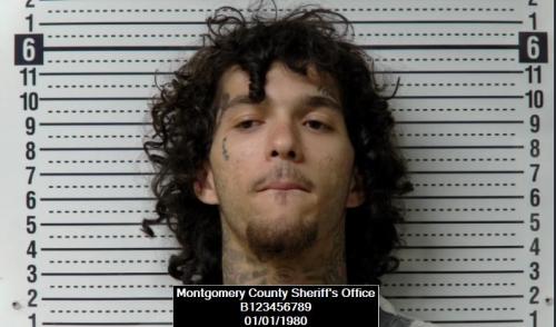 Raevaughn Allen White booking photo