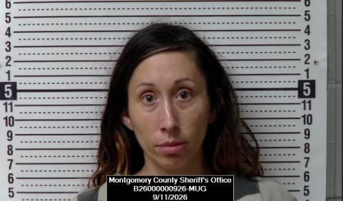 Erika Michelle Hess booking photo