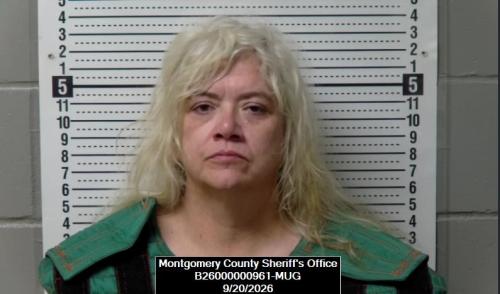 Booking photo of Stacie Lynn Fine
