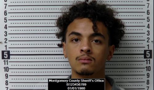 Booking photo of Breyln Michael Sanford