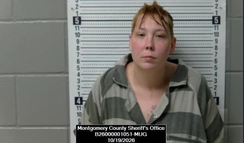 Booking photo of Andrea Sky Barnes