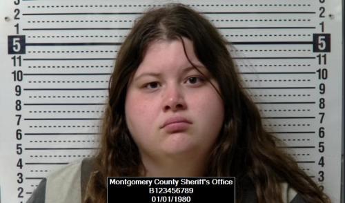 Hailey Marie Holmes booking photo