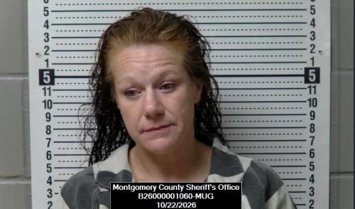 Sara Joellen Gorby booking photo