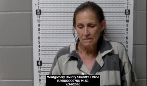Booking photo of Shelly Christine Goodsell-darrow