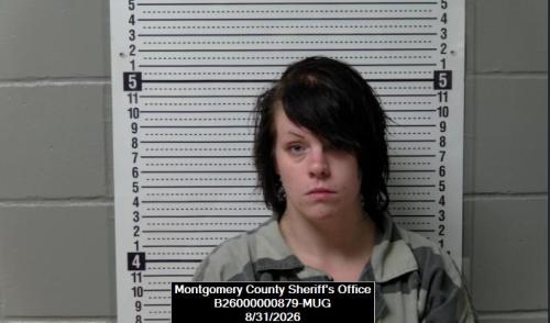 Booking photo of Ashley Jannelle Engbroten