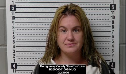 Booking photo of Britney Ann Bryan