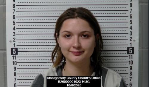 Booking photo of Kaylin Danielle Wright
