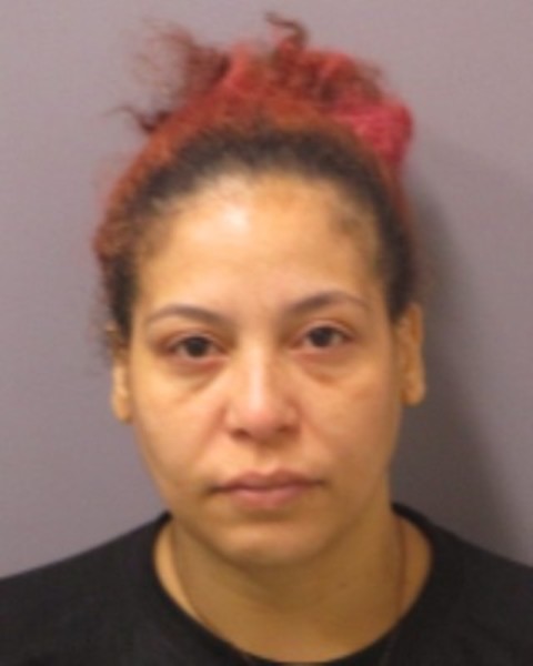 Booking photo of Francheska Laboy