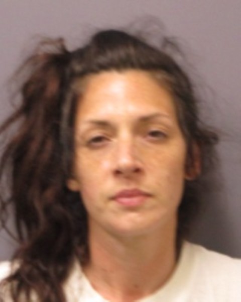Booking photo of Christine Swart