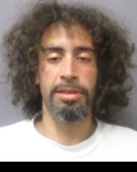 Booking photo of Elisandro Auffant