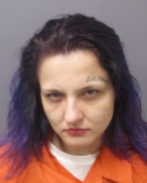 Booking photo of Tessa Taylor