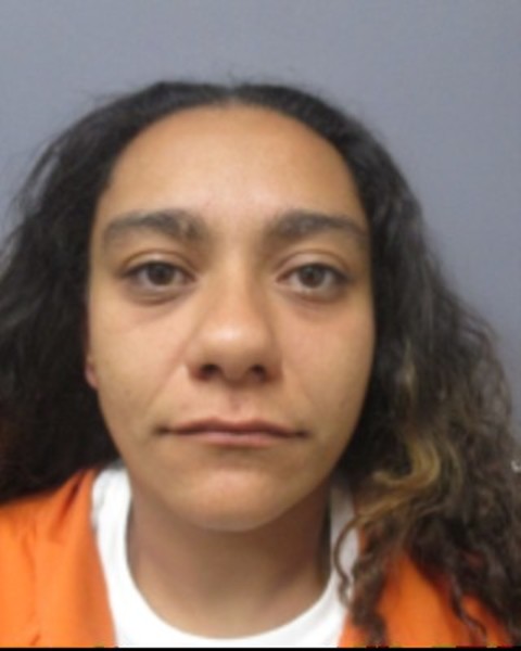 Booking photo of Laila Rivenberg